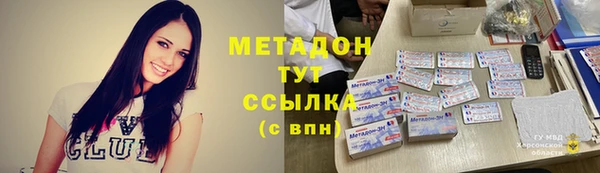 шишки Арсеньев