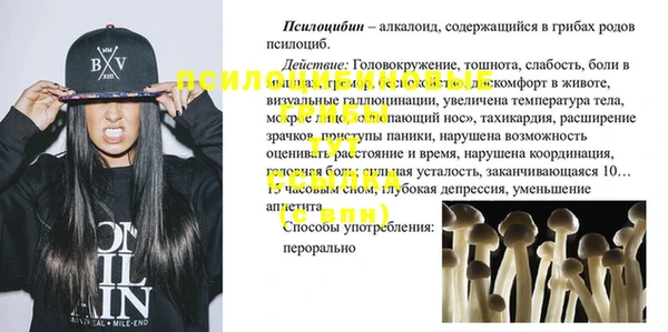 соль ск Алзамай