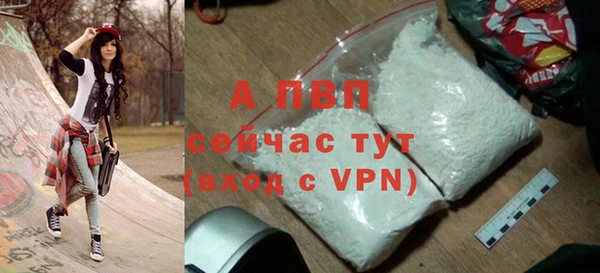 шишки Арсеньев