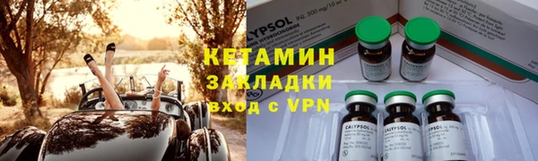 шишки Арсеньев