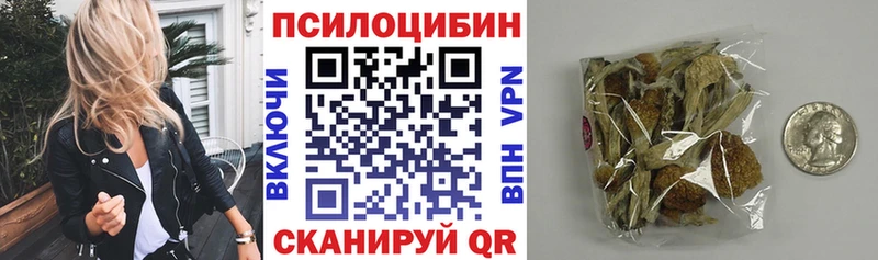 Галлюциногенные грибы Psilocybine cubensis  наркотики  Кемерово 